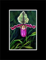 Papadelium Flower Print