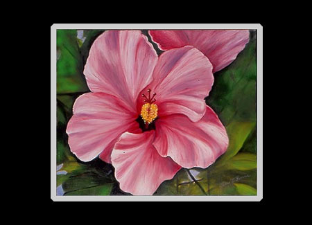 Pink Hibiscus Matted Print