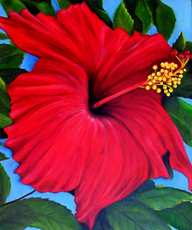 Janis Stevens Flower Paintings in Oil- Red Hibiscus