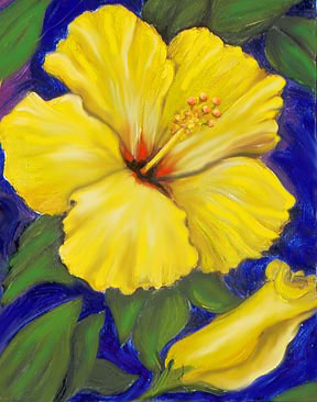 Flower Paintings by Janis Stevens